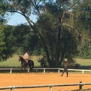 Meet your Posher, Lynn